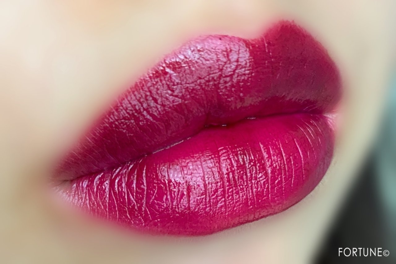 《アナ スイ(ANNA SUI)》2019秋新作『SUI BLACK』「スイ ブラック ルージュ S」405使用感