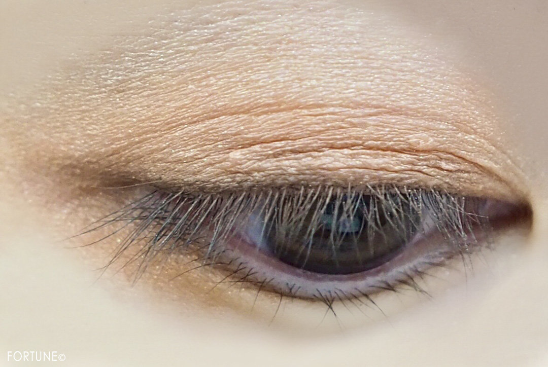 画像：ロレアル パリ2019秋新作「アイシャドウ メガパレット 01 チェリーマイシェリー」使用感