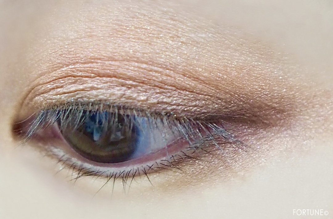 画像：ロレアル パリ2019秋新作「アイシャドウ メガパレット 01 チェリーマイシェリー」使用感