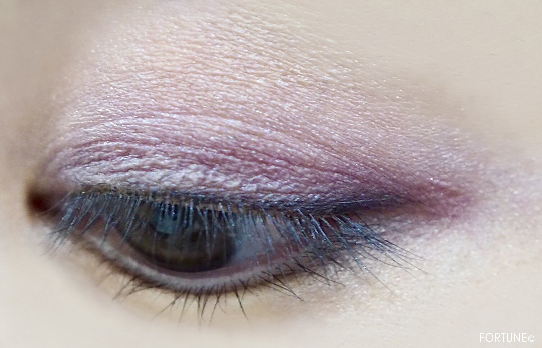 画像：ロレアル パリ2019秋新作「アイシャドウ メガパレット 02 ベリーマッチラヴ」使用感