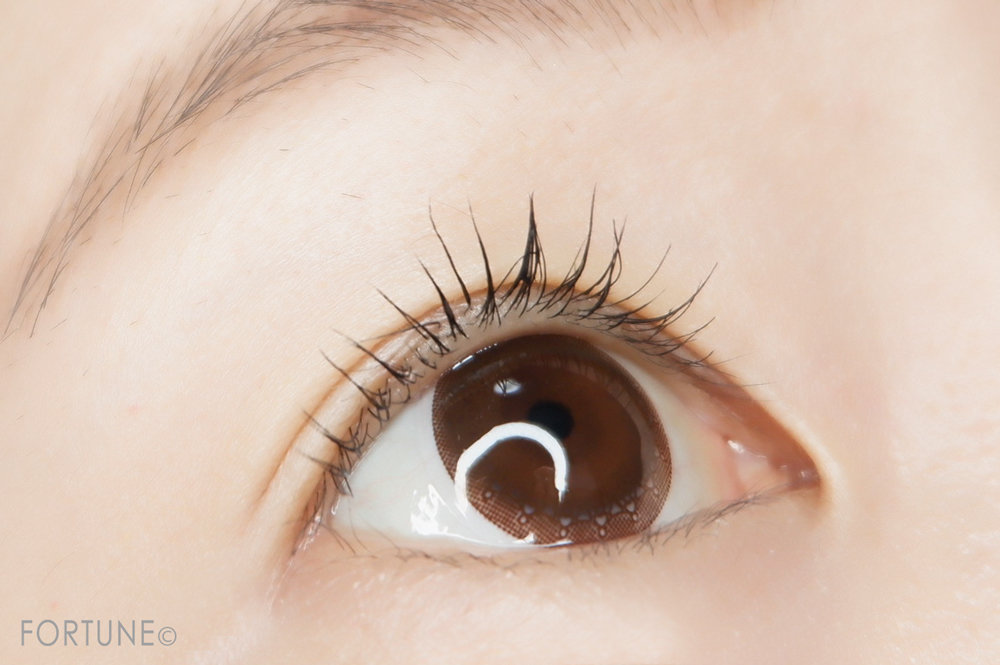 セザンヌ/カールキープベース　（ネイビーブラック）