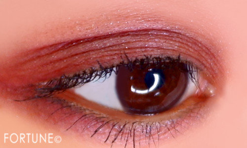 2019秋冬新作《アンプリチュード（Amplitude)》「コンスピキュアス ダブルアイズ」使用感