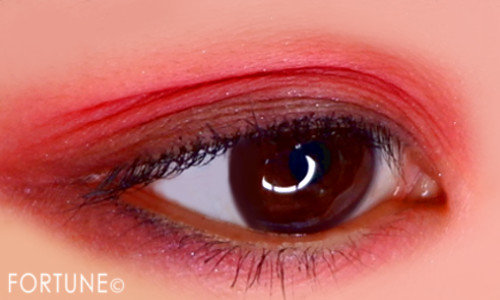 2019秋冬新作《アンプリチュード（Amplitude)》「コンスピキュアス ダブルアイズ」使用感