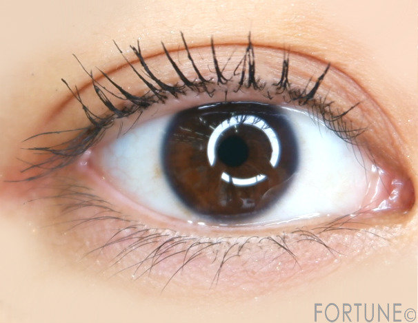 画像：アテニア（Attenir）　リフトアップアイメイク　2019秋新作　クレーンマスカラ　使用感