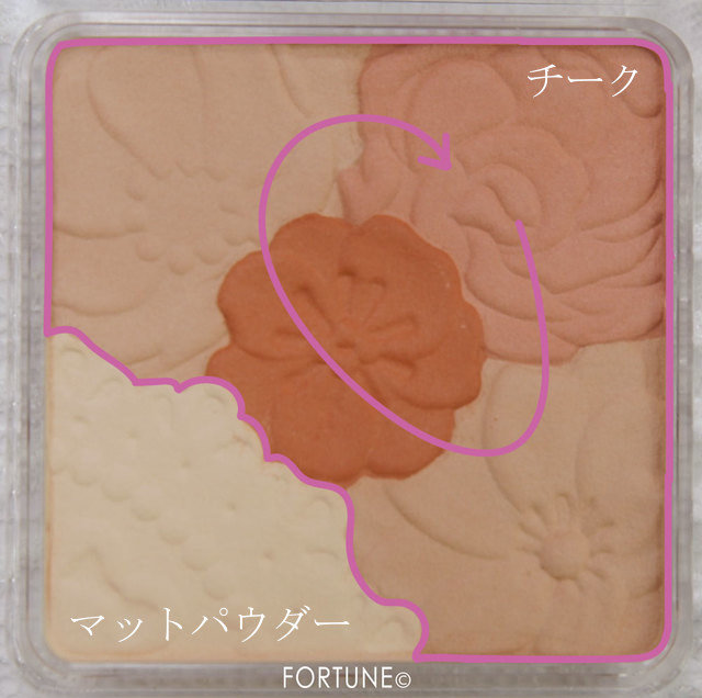 CANMAKE(キャンメイク)/マットフルール チークス 新色No.05 マットパンプキン