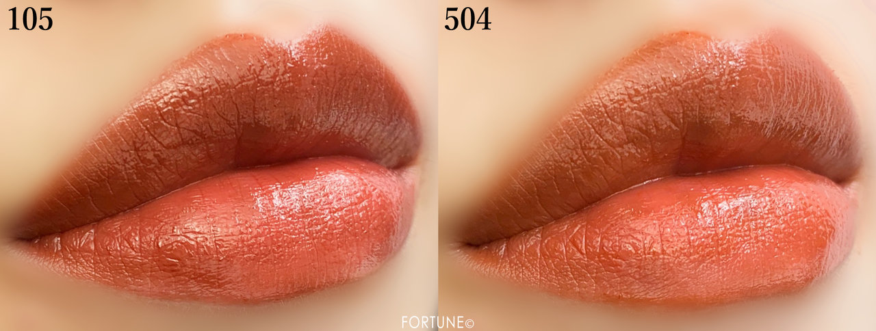 CEZANNE（セザンヌ）2019秋冬新作コスメ ラスティング リップカラーN