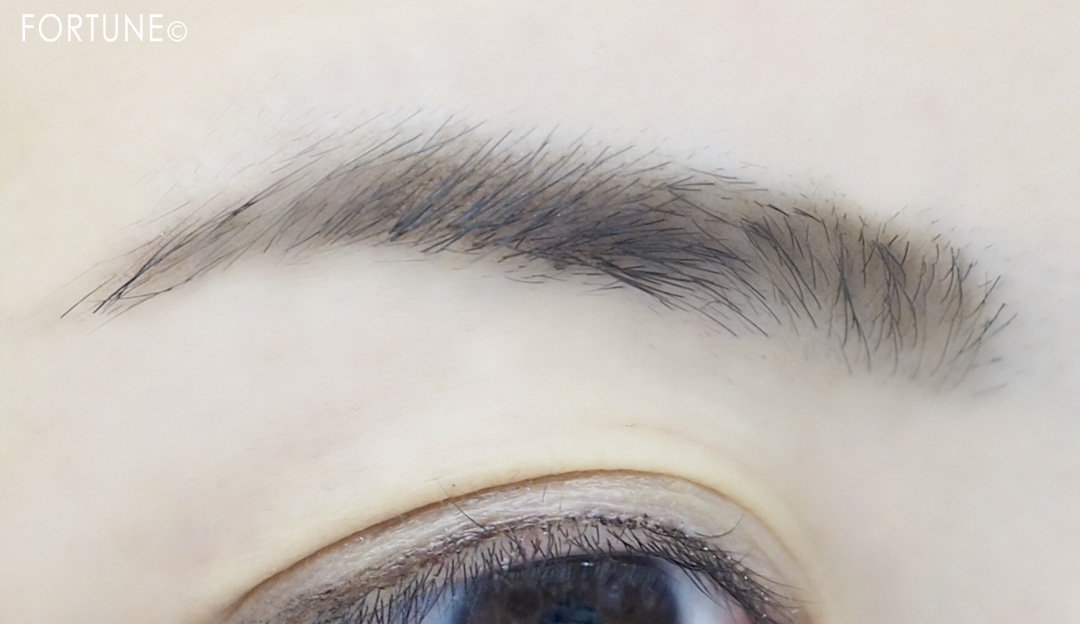 画像：KATE（ケイト）2019冬新作コスメ「ブロウラスティングベース」BR−1 ×「デザイニングアイブロウ3D」EX−7 使用感