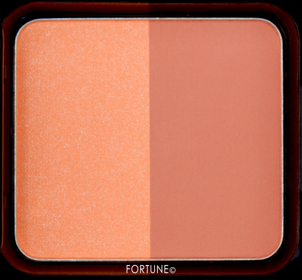 ピカシュウ グローオン デュオ パレット