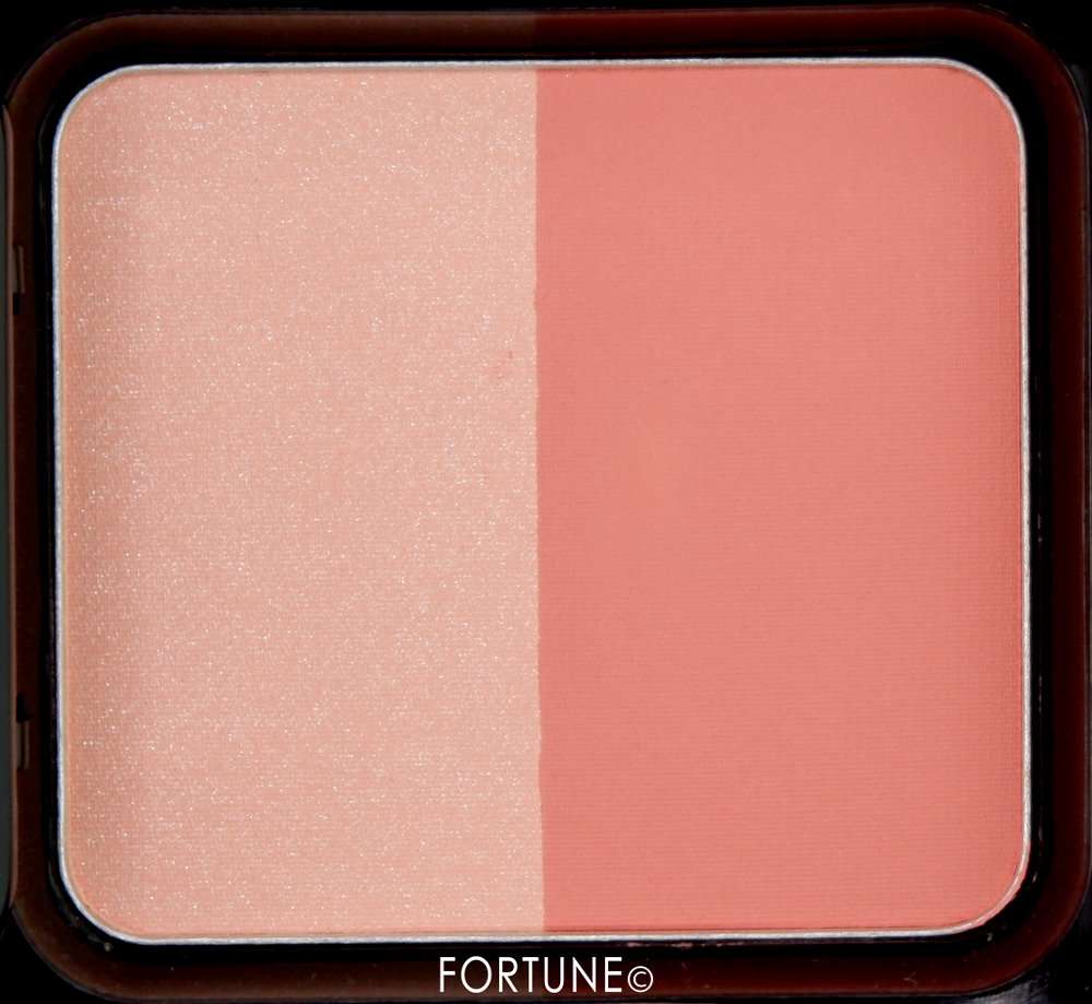 ピカシュウ グローオン デュオ パレット