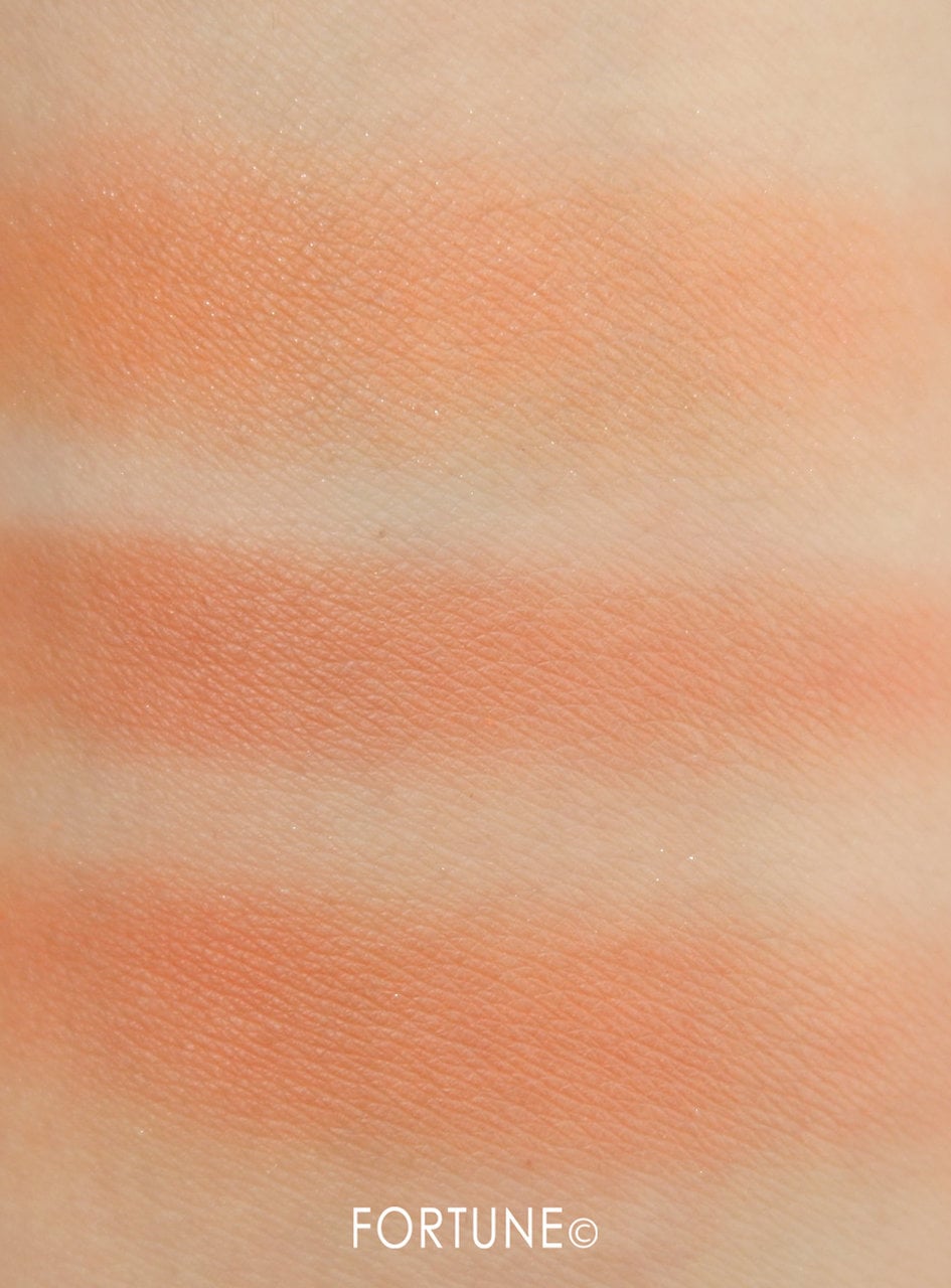 ピカシュウ グローオン デュオ パレット