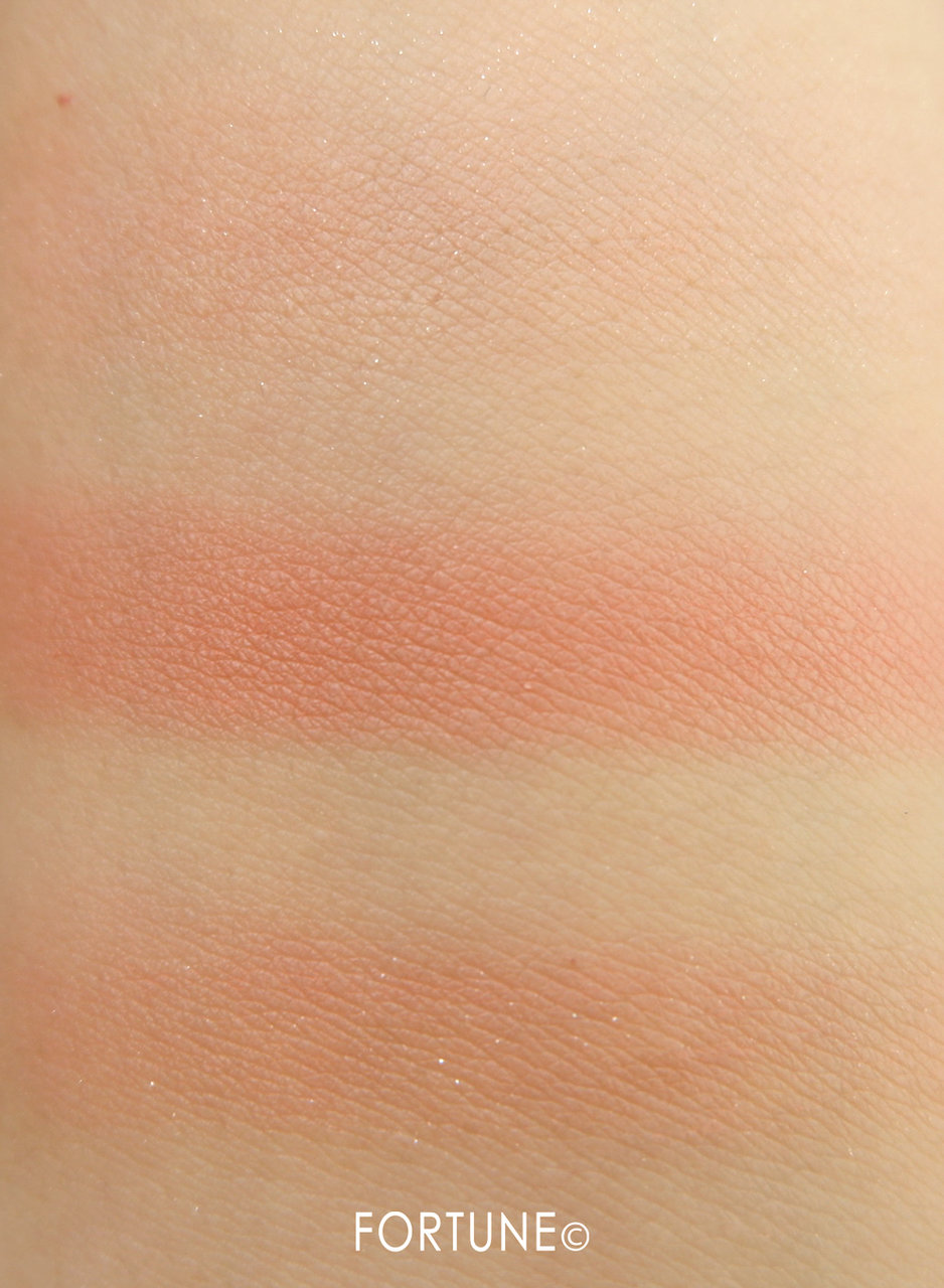 ピカシュウ グローオン デュオ パレット