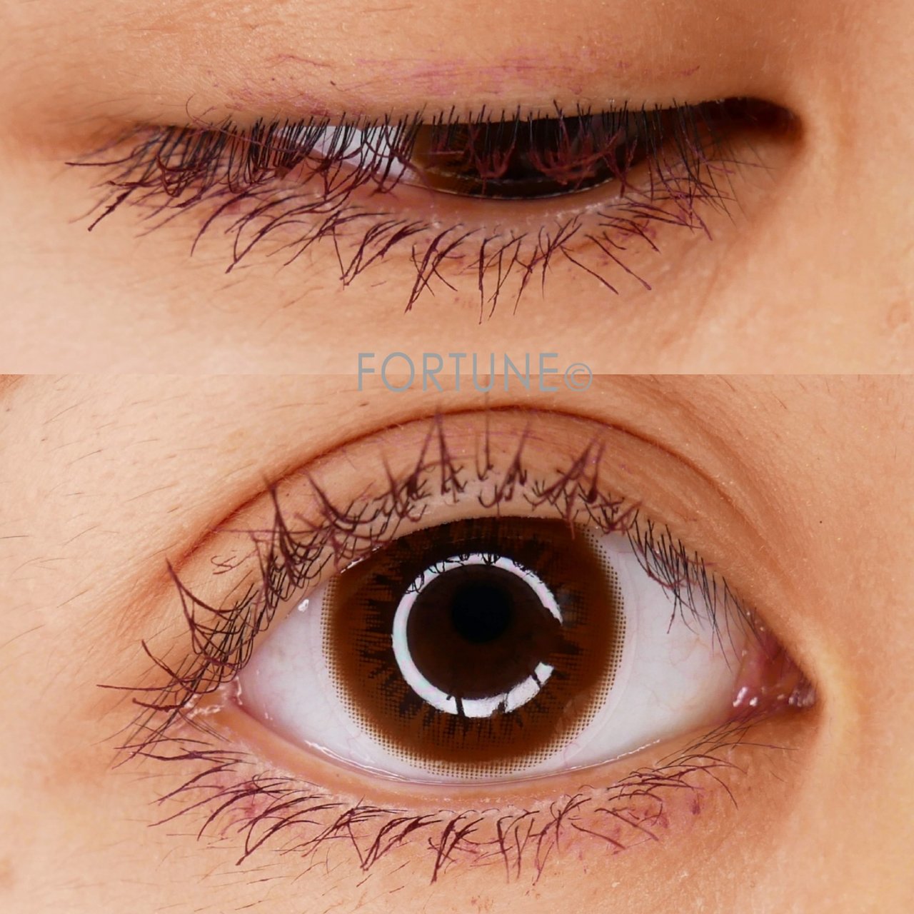 エクセル excel  2019秋新作　2019新作コスメ　ロング&カラードラッシュ　カラーマスカラ クランベリー LC02