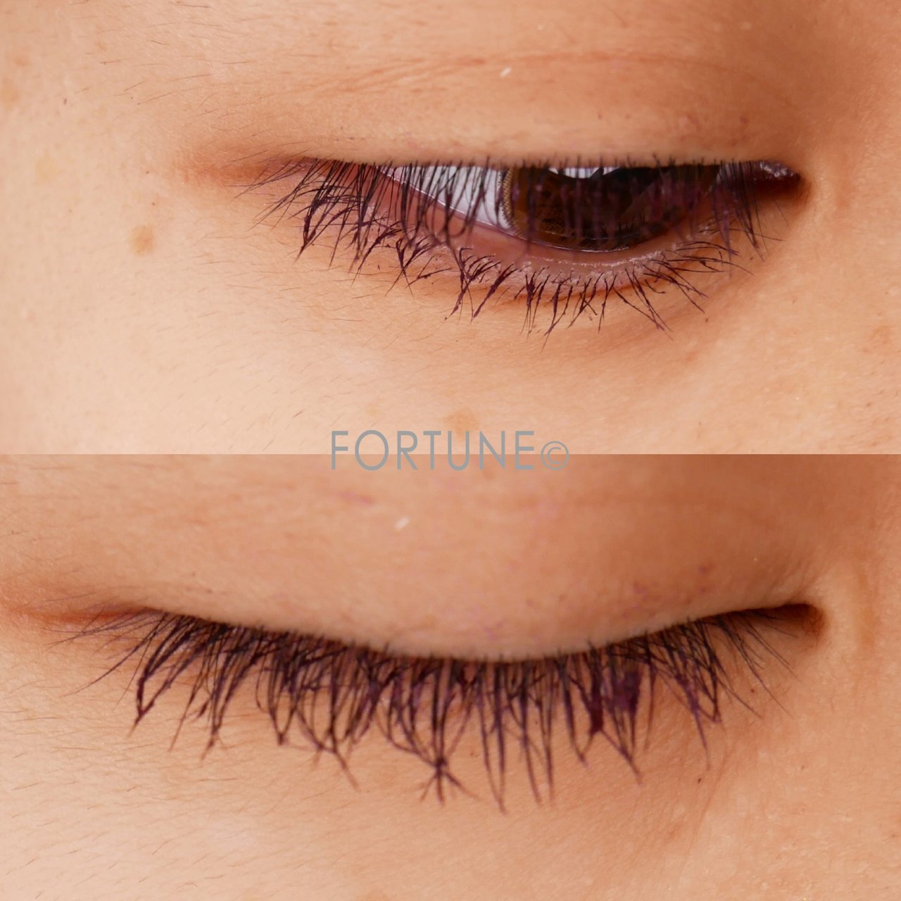 エクセル excel  2019秋新作　2019新作コスメ　ロング&カラードラッシュ　カラーマスカラ プルーン LC03