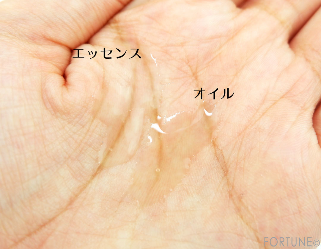 画像：CHICCA　キッカ クリスマスコレクション 2019　スキンケアセット ミニ　ビューティグロウ オイル&エッセンス