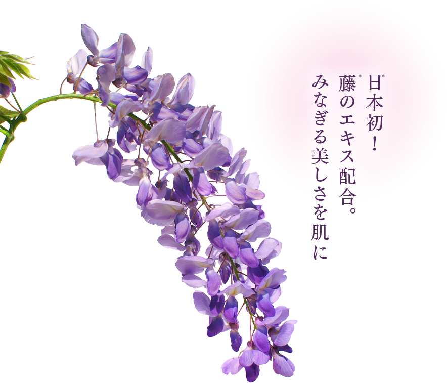 栃木ルルルン（藤の花の香り）