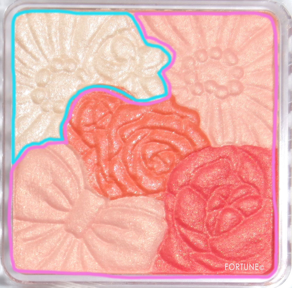 CANMAKE(キャンメイク)グロウフルールチークス