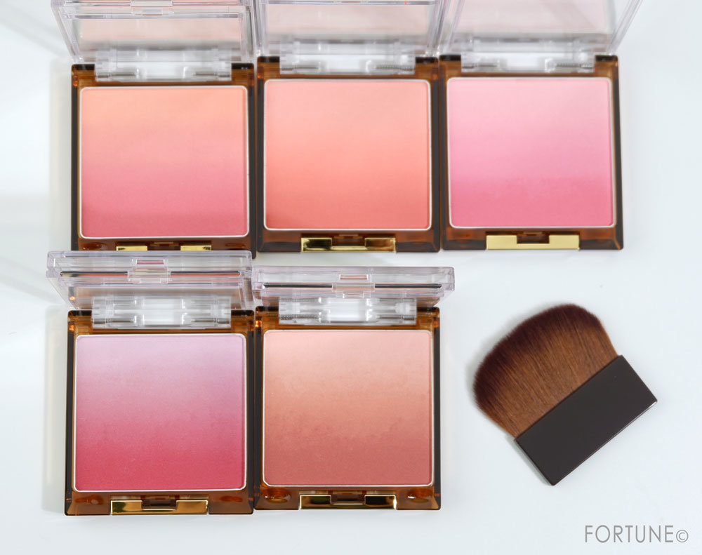 エクセル オーラティック ブラッシュ