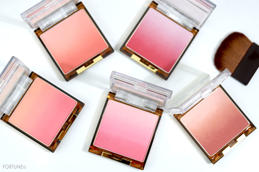 エクセル オーラティック ブラッシュ