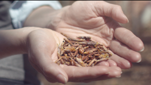 ランコム　クラリフィック デュアル エッセンス ローション