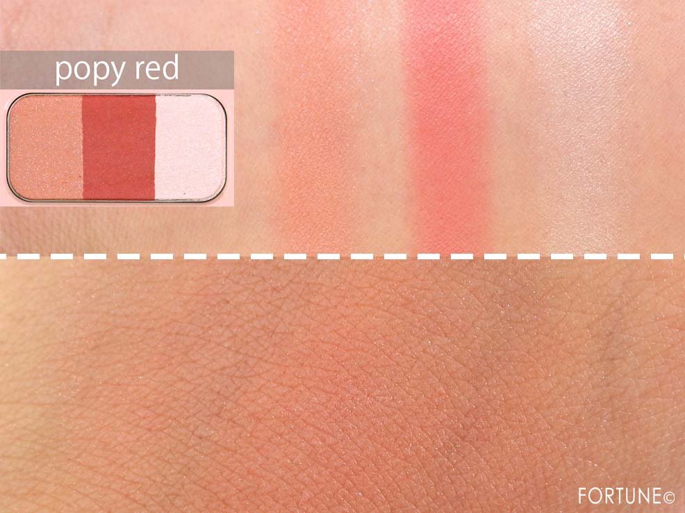 画像：WHOMEE（フーミー）ディズニーストア限定コスメ「フーミー ブレンドチークカラー」