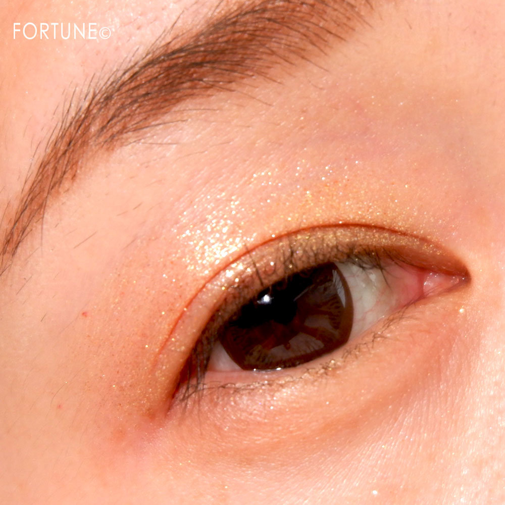 NARS パワークローム ルースアイピグメント