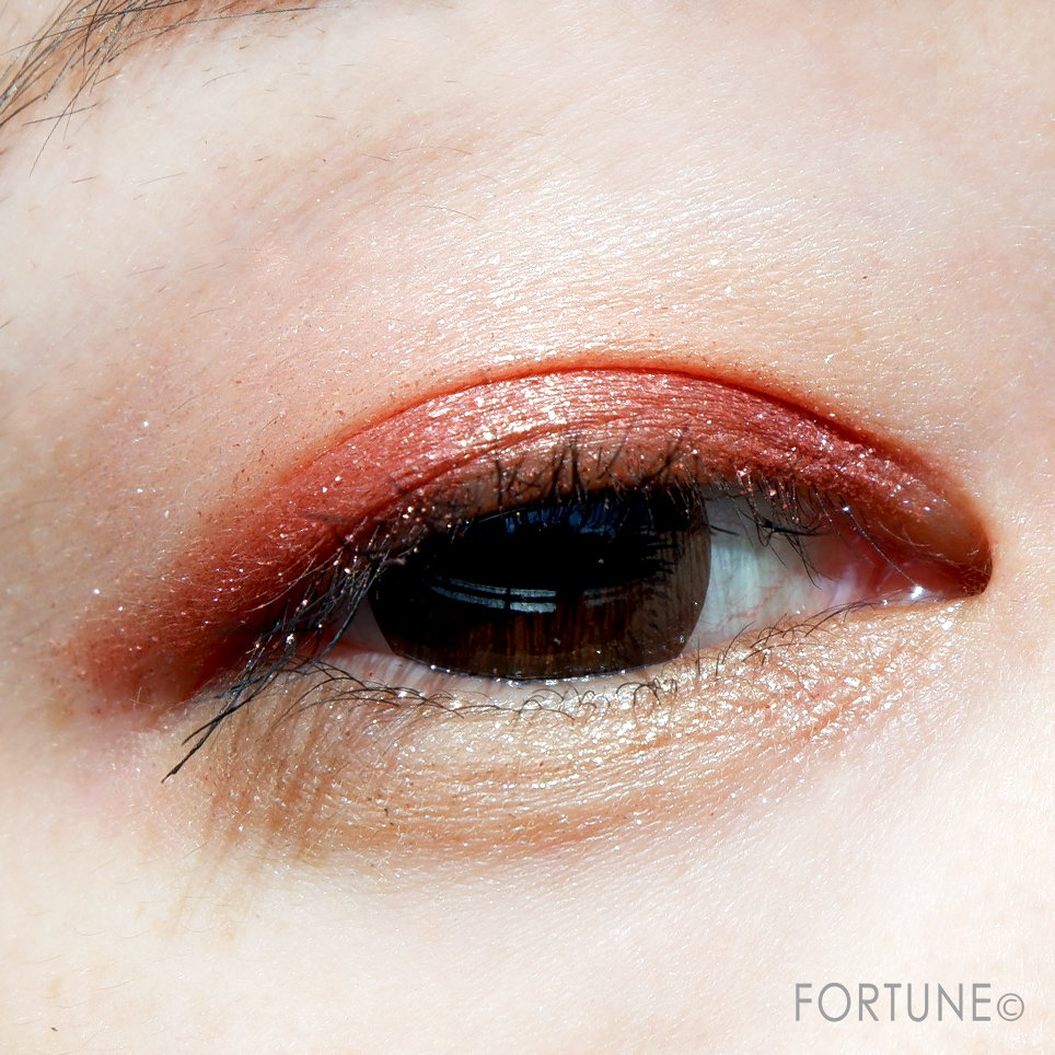 アディクション ザ アイシャドウ L