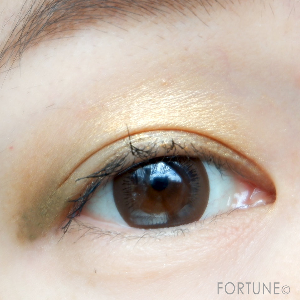 アディクション ザ アイシャドウ L