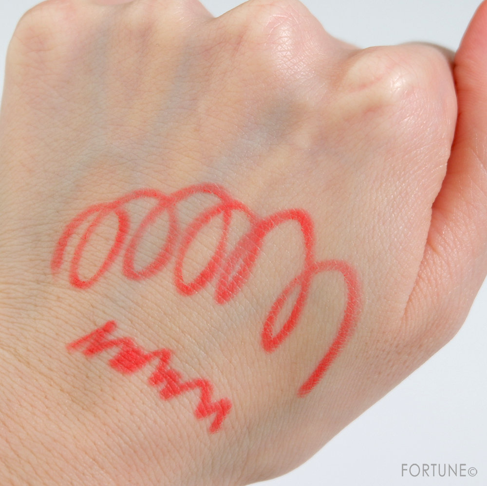 資生堂/ SHISEIDO リップライナーインクデュオ(5番使用)