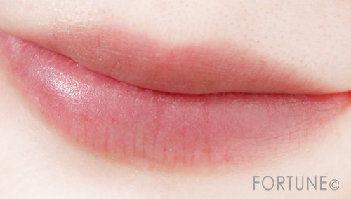 資生堂/ SHISEIDO リップライナーインクデュオ 資生堂/ SHISEIDO リップライナーインクデュオ/プライマーのみ使用