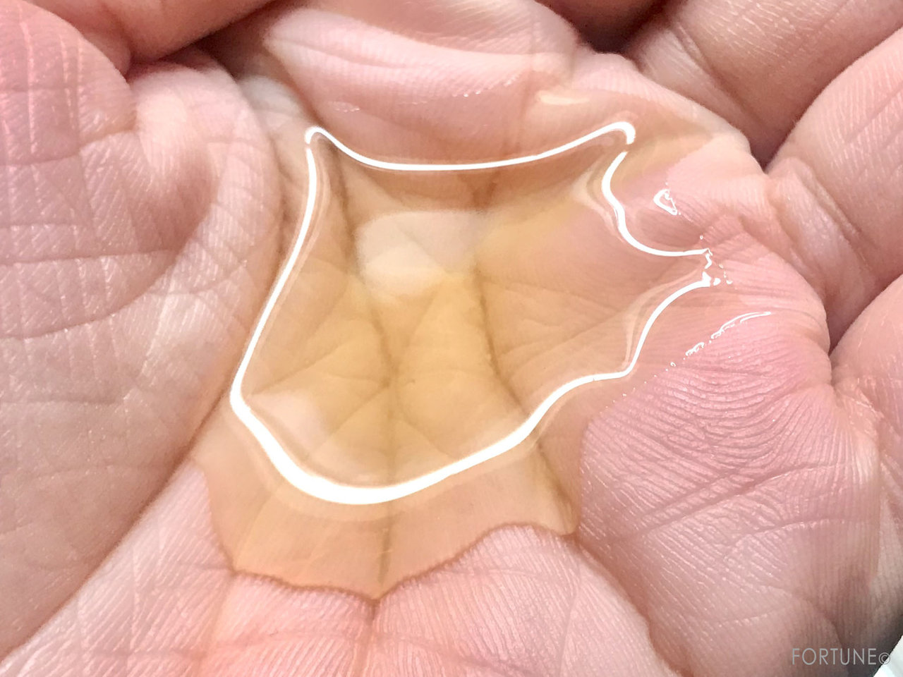 編集部推しコスメ：&honey（アンドハニー）「ディープモイスト シャンプー1.0」