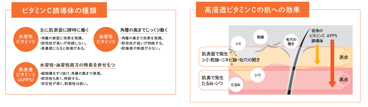 VC100ライン共通成分