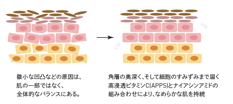 VC100ライン共通成分