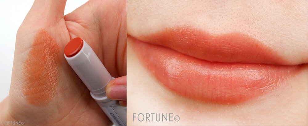 CANMAKE(キャンメイク)2020年7月新作『ステイオンバームルージュ』 No.18 ブラウニッシュマンダリン