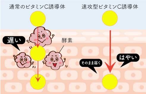 ふぉーちゅんスキンケア検証／石澤研究所 透明白肌「ホワイトローション」