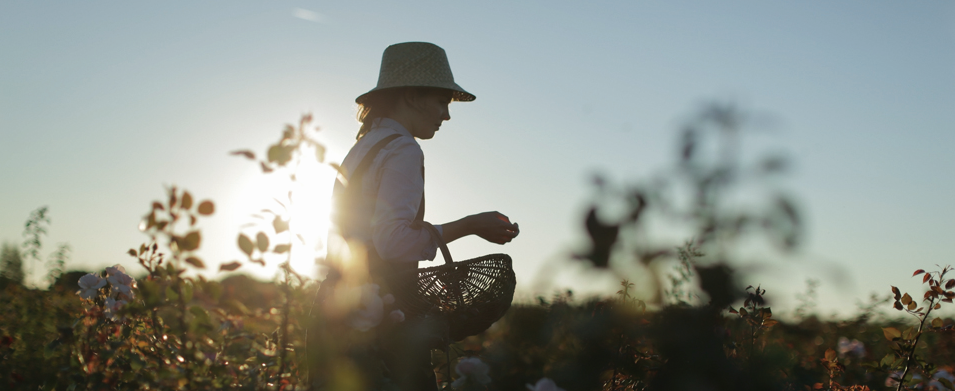 Dior(ディオール)「プレステージ マイクロ ユイル ド ローズ セラム（プレミアム プレ美容液）」