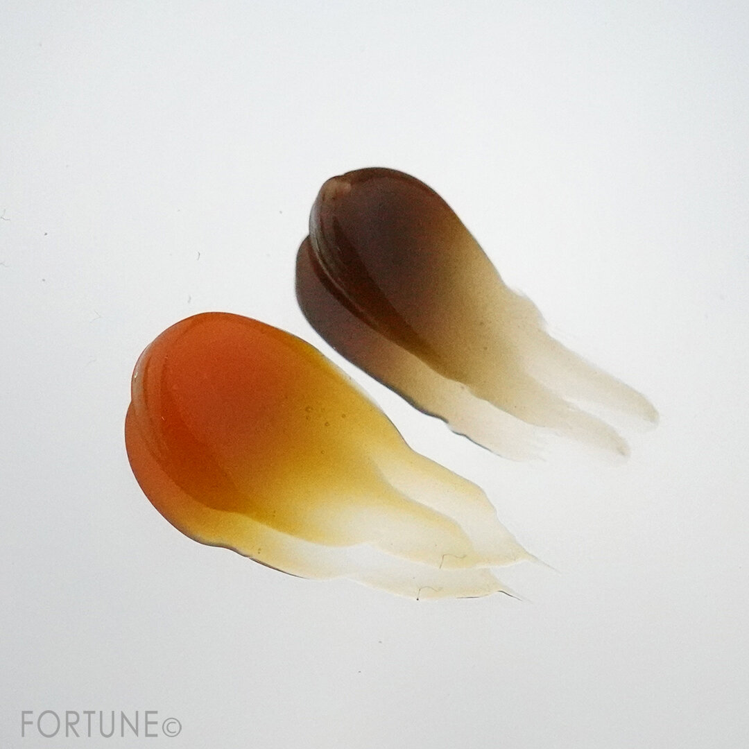 WHOMEE（フーミー） 2020年冬 新作コスメ  『LIP TREATMENT（リップ美容液）』