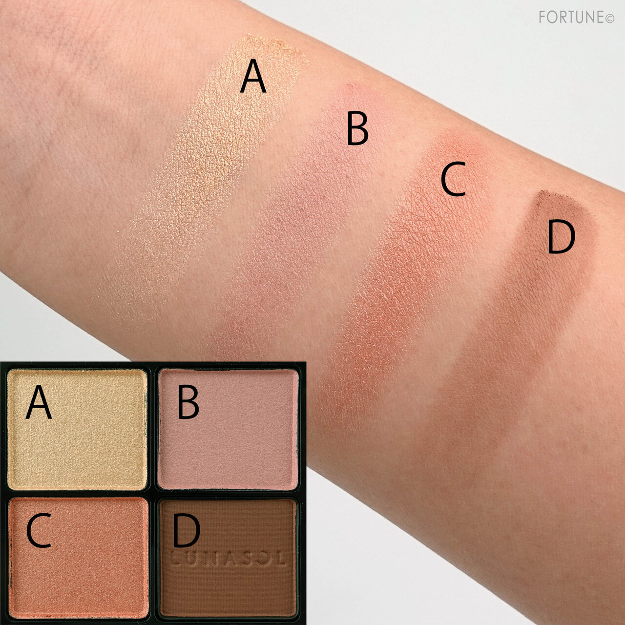 LUNASOL(ルナソル) 2021春 新作コスメ「アイカラーレーション」11 サヴェージローズ　レビュー・使用レポ・スウォッチ