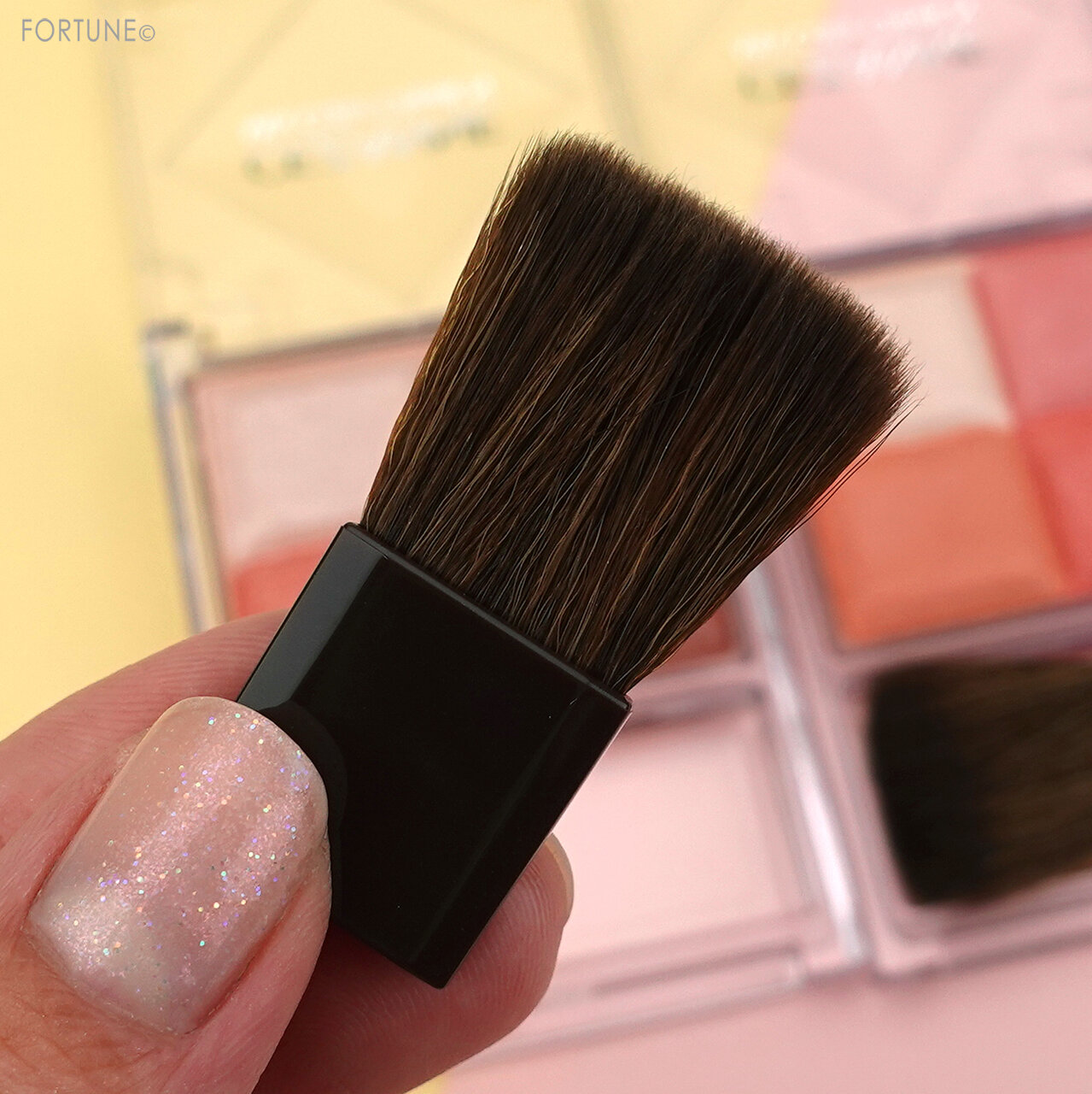 CEZANNE(セザンヌ)2021春新作コスメ「ミックスカラーチークN」