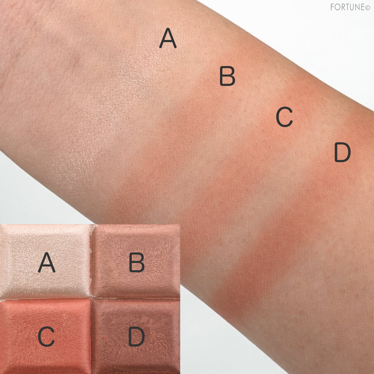 CEZANNE(セザンヌ)2021春新作コスメ「ミックスカラーチークN/01 ウォームローズ」