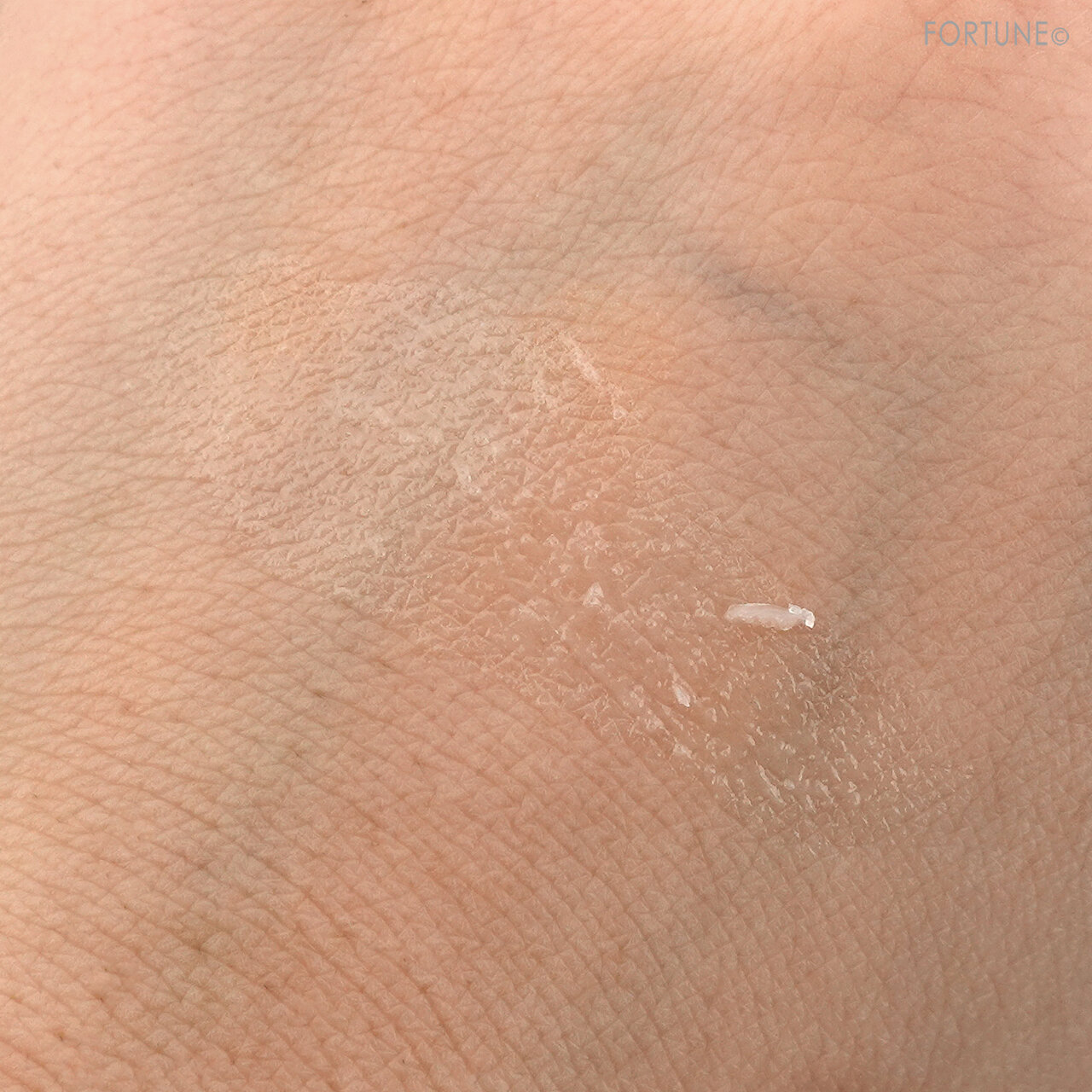 CANMAKE(キャンメイク)「プランプリップケアスクラブ」