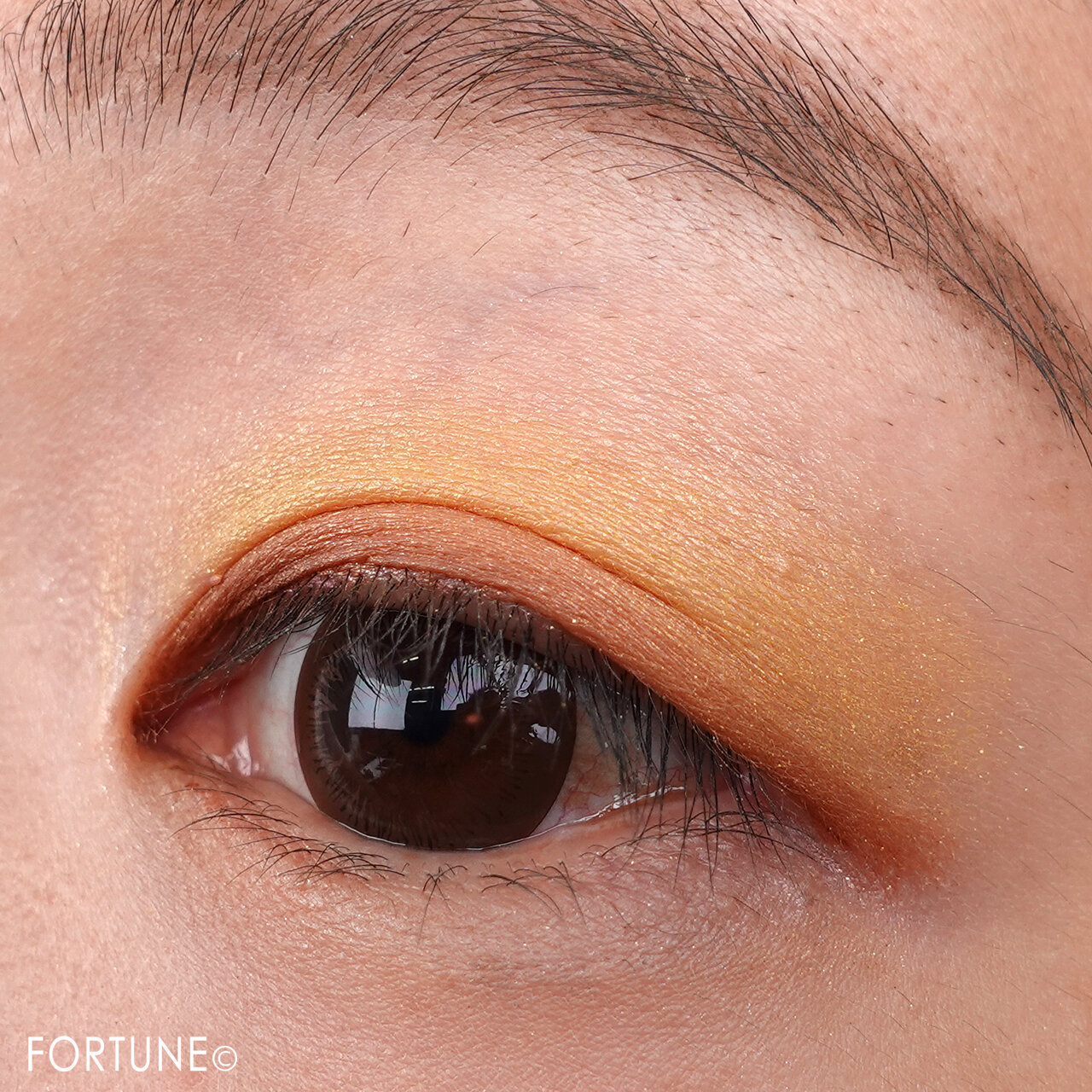 MiMC/エムアイエムシー「ビオモイスチュアシャドー 29 GAIA/ガイア」