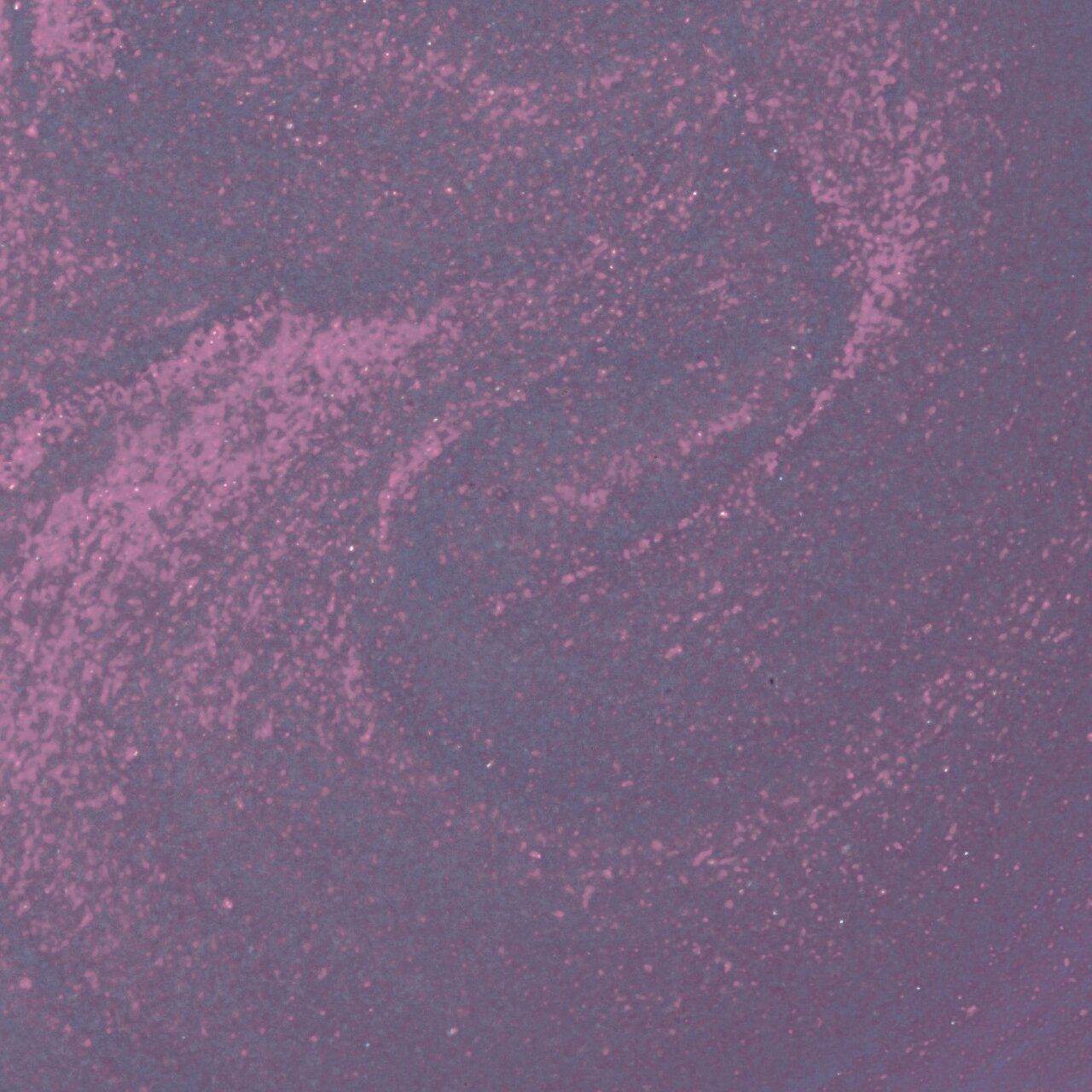 noiro/ノイロ ネイルカラー「S025 kyoukaisen(キョウカイセン)」