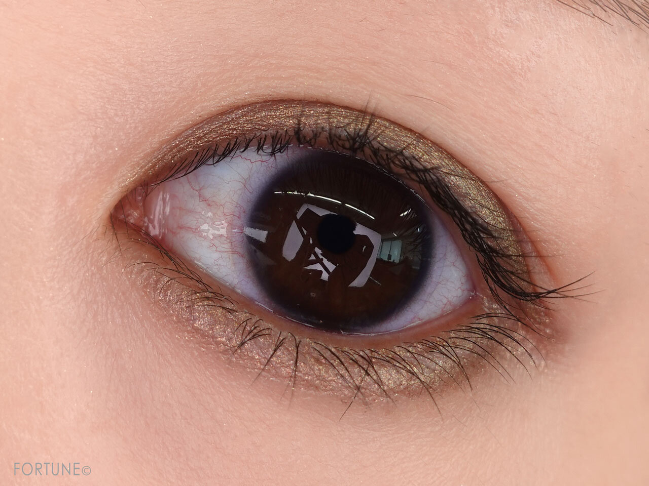 M·A·C/マック×ハリス リード「アイ コール」