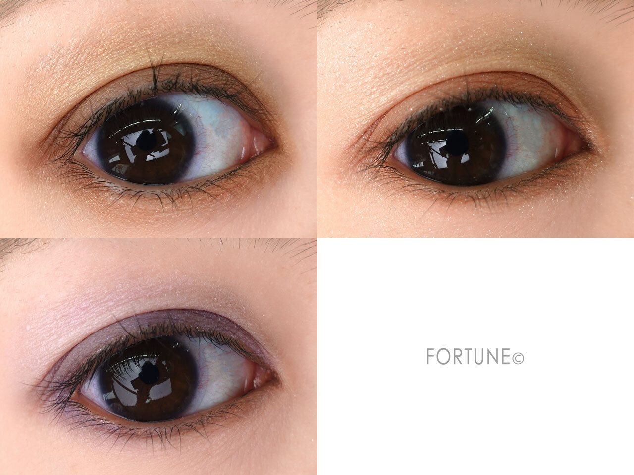 WHOMEE/フーミー アイシャドウパレット