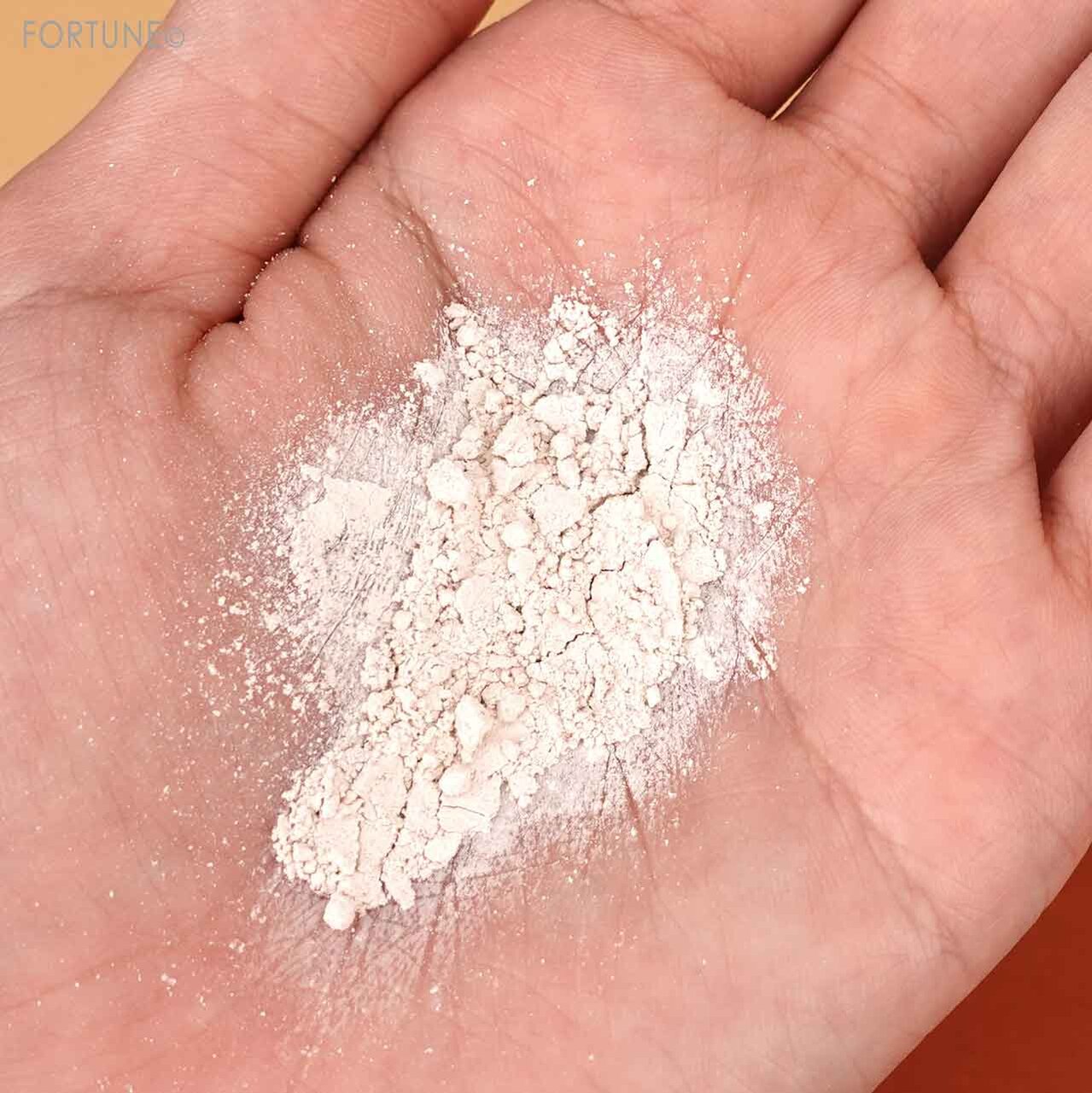 LUSH/ラッシュ　素足のTブレイク（フットパウダー）