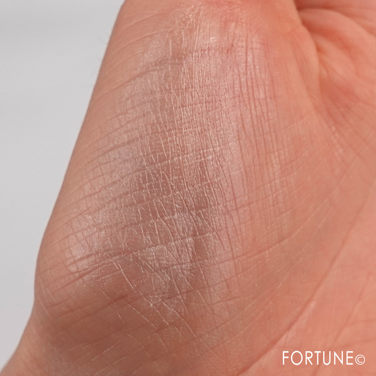 IPSA/イプサ デザイニング フェイスカラーパレット