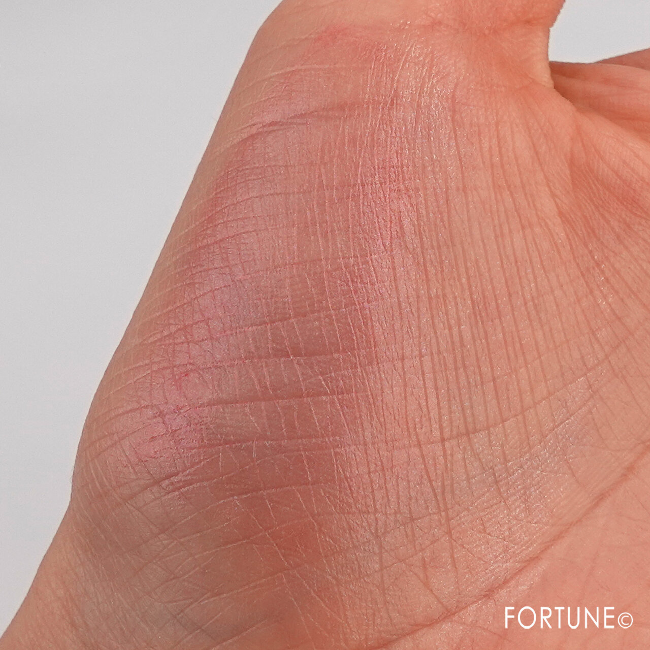 IPSA/イプサ デザイニング フェイスカラーパレット