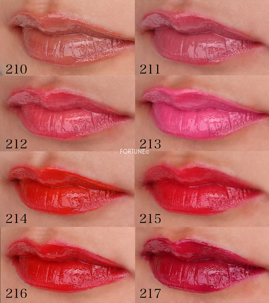 Clé de Peau Beauté/クレ・ド・ポー ボーテ ルージュアレーブル ブリアン