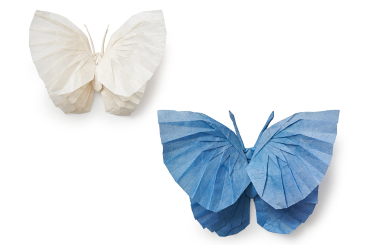 SABON×Oristによる特別なインスタレーション