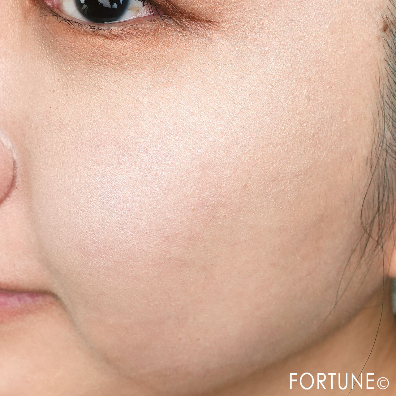 CEZANNE/セザンヌ『ミックスカラーチークN 10ペールハイライト』